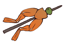 Frog Jerky