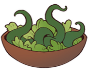 Morbol Salad